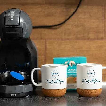 Bluemont * Podgorica